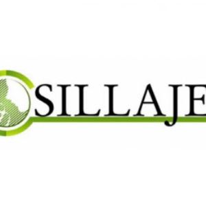 Sillajen Secures BAL0891 Patent Rights, Hits Limit Up
