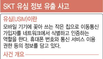 복제폰 피해 가능성은 낮지만… SKT 유심 해킹, 전면 조사 불가피(종합2보)