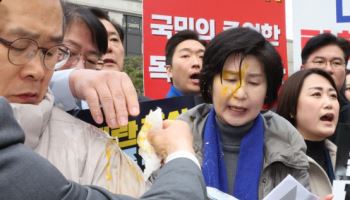 헌재 앞 백혜련에 ‘날달걀’ 투척…30대 남성 경찰 소환 조사