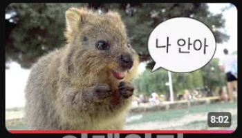하나투어, ‘쿼카편’ 123만 조회수로 대박…2030 회원수 10% 증가