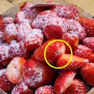 “케이크에 곰팡이가…진물까지” 잘 나가던 ‘성심당’에 무슨 일이