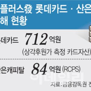 홈플러스 회생 후폭풍…롯데카드·산은캐피탈 손실 경고등