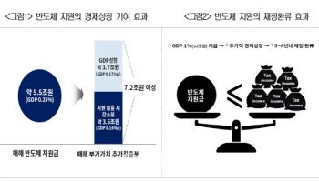 "반도체 5.5兆 지원시 부가가치 창출 효과 7.2兆 넘는다"