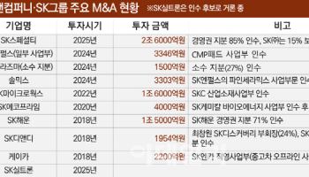‘SK그룹 딜 싹쓸이’ 한앤컴퍼니, SK실트론도 품나