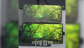 삼성 했고 애플 실패? 아이폰 17 반사방지 코팅적용 지연 