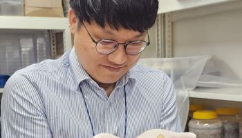 멸종 위기 장수하늘소 키우고, 600년 산림 보존···수목원 가보니