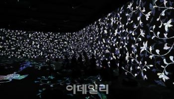 실감 영상 콘텐츠 시연