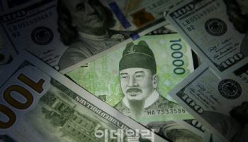 달러 5% 빠질 때, 환율 고작 1%대 하락…“디커플링 지속”