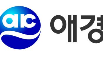 "中 소비 침체 여파" 애경산업 1분기 영업익 63% 급감