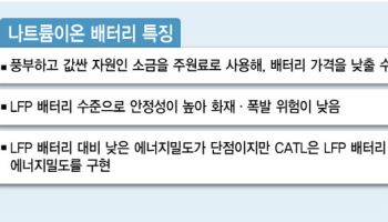 '소금 배터리'까지 선점했다…더 멀어지는 中 배터리