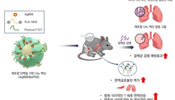 온도반응성 나노입자 적용 백신, 결핵균 방어 효과↑