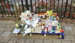 성탄절 여고생 살해한 10대 결국…"소년법상 최고형 선고"	