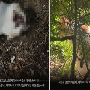 컷뉴스