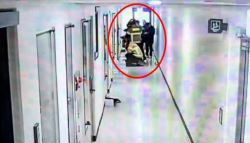 비밀번호 다 알아…'전 여친 커플 살인범' 피해자와 입주민