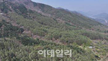 2000년 역사와 전설이 숨쉬는 옛길, 산촌경제 핵심 부활