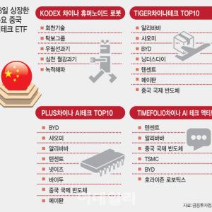 컷뉴스