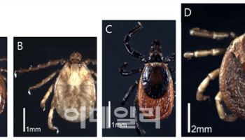 지구가 더워요…진드기 위협 커지는 이유