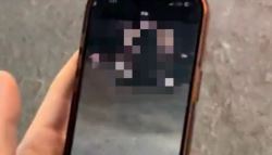 중국 모터쇼서 '몰카' 찍다 걸린 한국 고교생...학교 해명보니