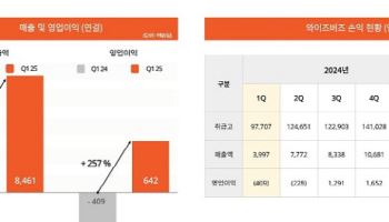 와이즈버즈, 2025년 1분기 실적 발표…전년 동기 대비매출 111.7% 성장