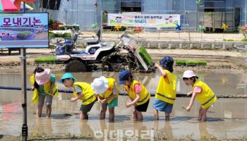 양주시, 어린이집 유아 대상 '꼬마농부 벼농사 체험'