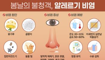 알레르기 비염 방치 시 축농증, 중이염 등 합병증 우려