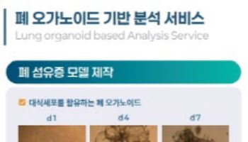 케이더블유바이오, 폐 오가노이드 기반 약물 분석 서비스 개시