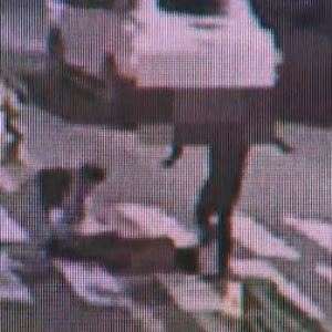 "정신 차려보니 온몸 피투성이"...길가다 '날벼락'