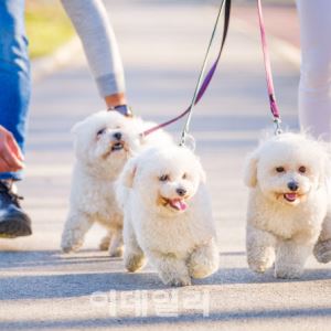 컷뉴스