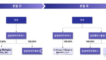 삼성바이오로직스, 인적분할해 ‘삼성에피스홀딩스’ 설립