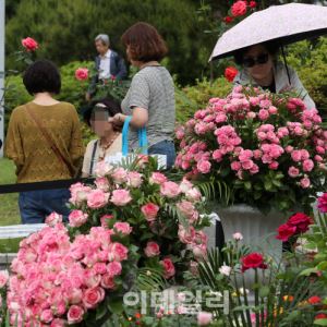 [포토] 꽃이 주는 즐거움                                                                                                                                                                                 