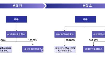 [삼성바이오 인적분할①] ‘재상장은 없다’ 기존 주주들 에피스홀딩스 주식배분