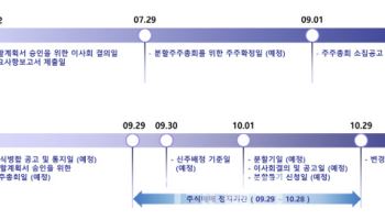 [삼성바이오 인적분할③] CDMO냐 신약이냐, 선택적 투자 가능