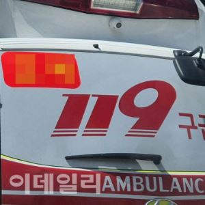 길동 복조리시장 차량 돌진, 12명 부상…운전자 급발진 주장(상보)