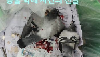 비둘기에 새총쏘고 목비틀어…“유해조수 논란”