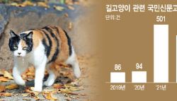 [단독]정부, '길냥이' 갈등 풀자…'고양이 전담 조직' 만든다
