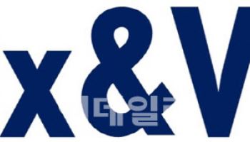 디엑스앤브이엑스 "백신, 플랫폼 기업으로 정체성 재정립"