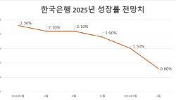 한은도 올해 0%대 성장 전망…경제성장 엔진에 '빨간불'(상보)