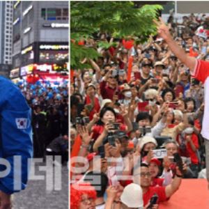 컷뉴스