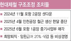 [단독]현대제철, 중기사업부 매각…포항 1공장도 구조조정 돌입