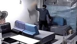 ‘때리고 던지고 물고문’ 새끼 고양이 3시간 학대...징역4개월