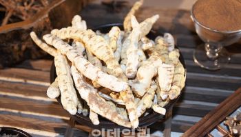 ‘가짜 백수오’에 무너졌던 내츄럴엔도텍, 대법원 판결로 기사회생[바이오맥짚기]