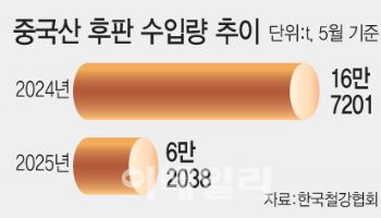 "믿을 건 정부 뿐"..반덤핑 관세에 中후판 수입 급감