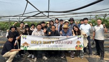 화우·바른·동인, 포도농가 일손 돕기 봉사활동 함께 진행