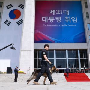 컷뉴스