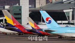 한국인 여행객 우르르 몰리더니…사상 최대치 경신