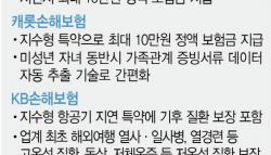 "항공기 지연·기후성 질환도 보장"
