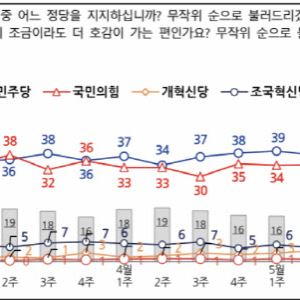 컷뉴스