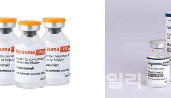 셀트리온 '허쥬마·베그젤마', 일본 항암제 시장 지배력 확대