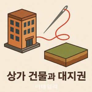 컷뉴스