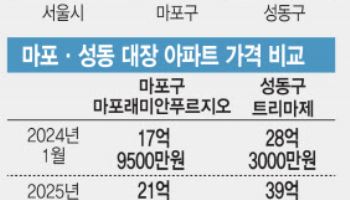 한강벨트 집값 급등... 마포 5억 뛸때 성동은 11억 껑충